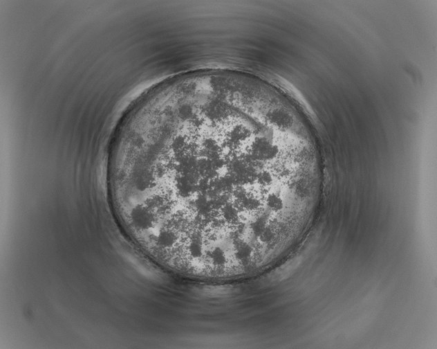 X0000113311035200910131103