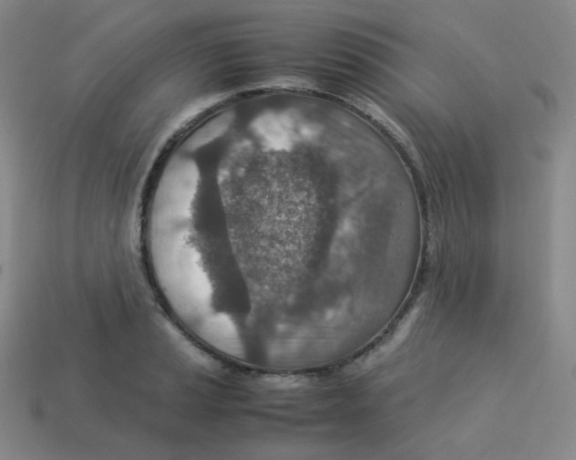 X0000113311037200910131103