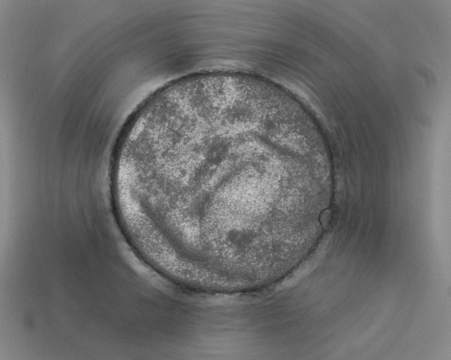 X0000113311038200910131103