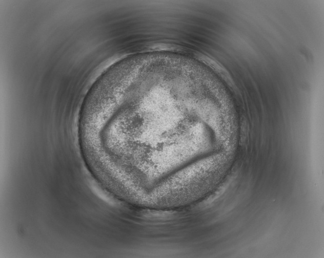 X0000113311039200910131103