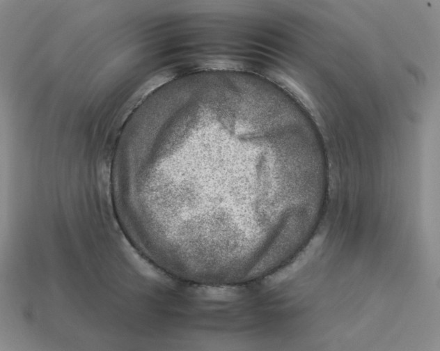 X0000113311041200910131103