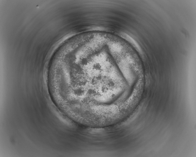 X0000113311043200910131103