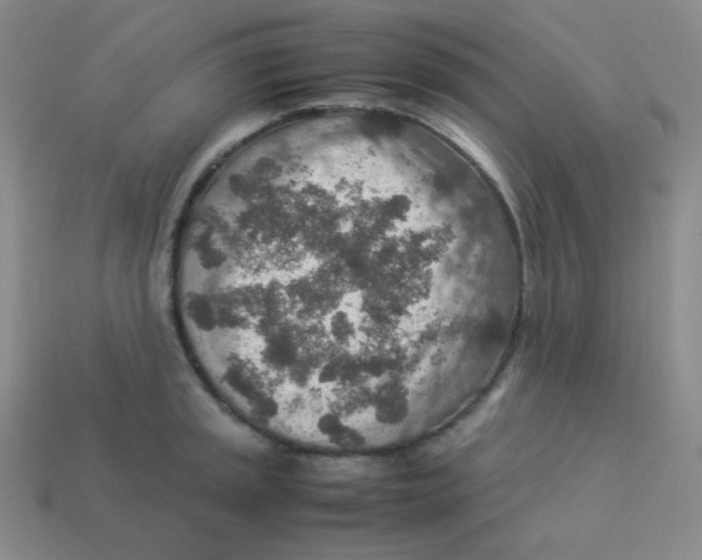 X0000113311045200910131103