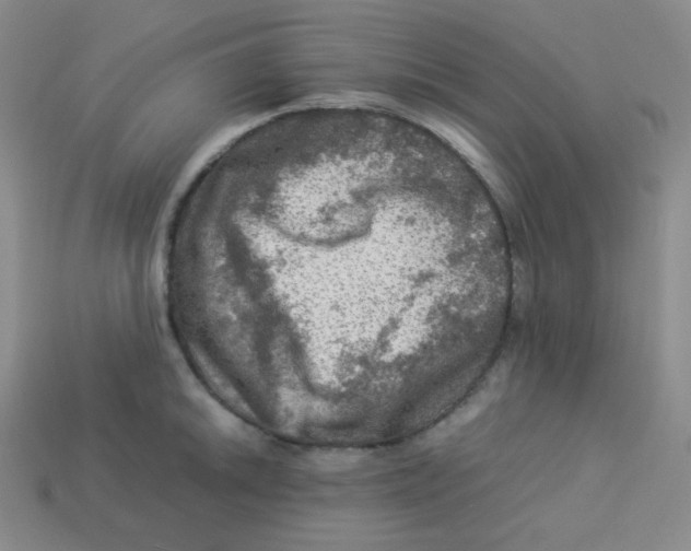 X0000113311046200910131103