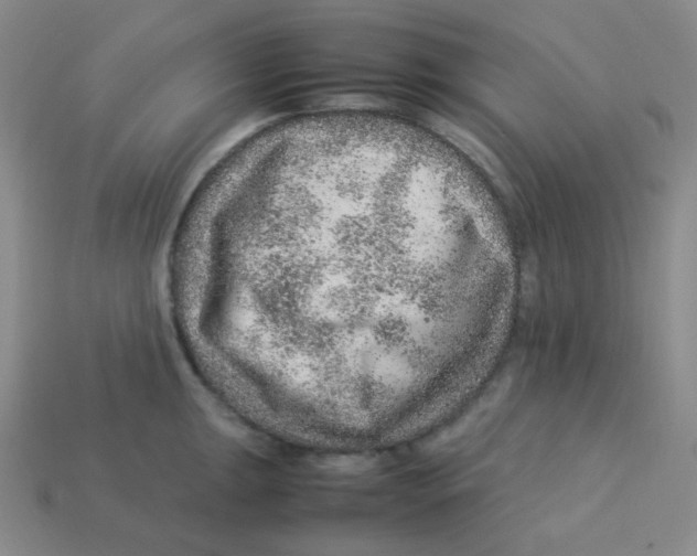 X0000113311047200910131103