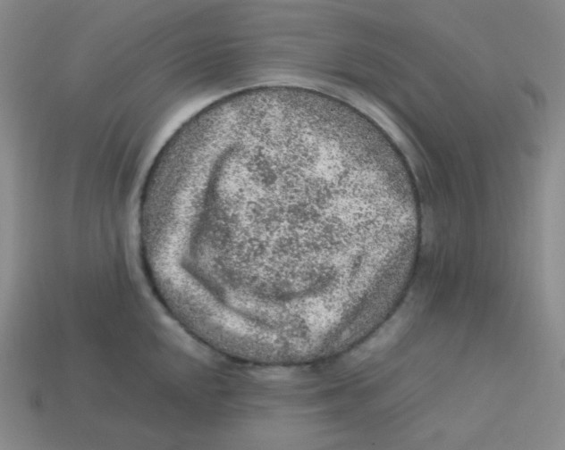 X0000113311048200910131103