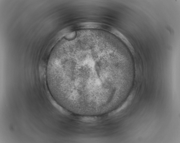 X0000113311049200910131103