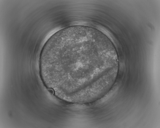 X0000113311050200910131103