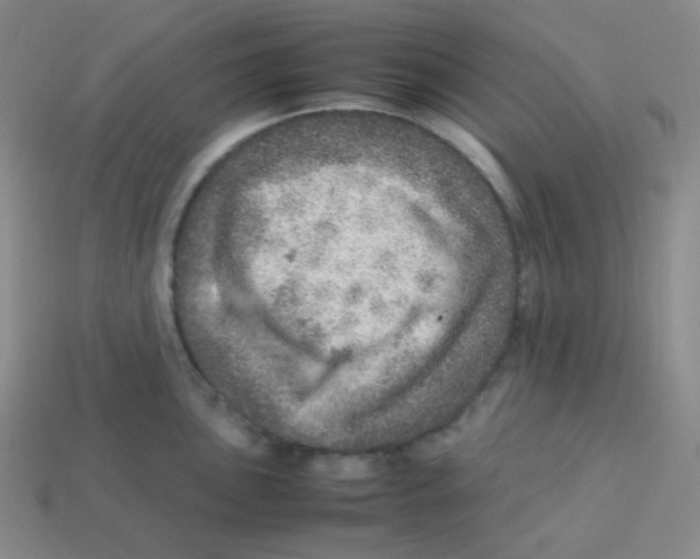 X0000113311051200910131103