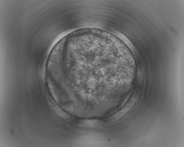 X0000113311052200910131104