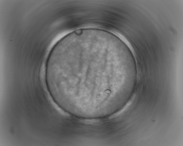 X0000113311053200910131104