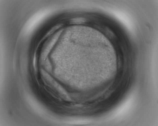 X0000113311054200910131104