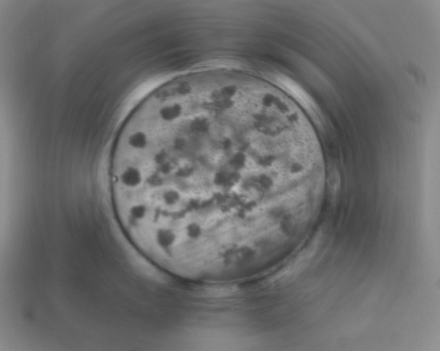 X0000113311055200910131104