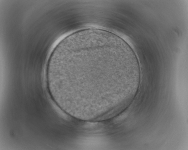 X0000113311056200910131104