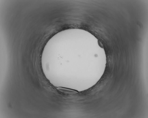 X0000113311057200910131103