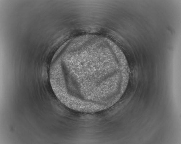 X0000113311058200910131103