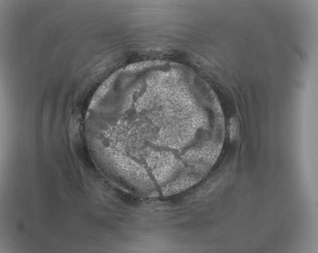 X0000113311059200910131103