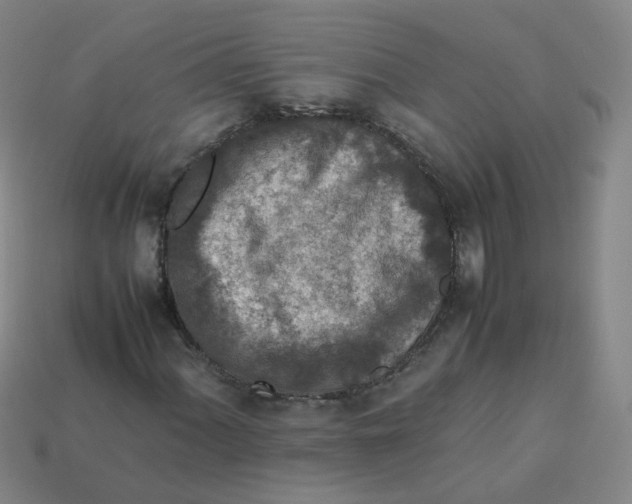 X0000113311060200910131103