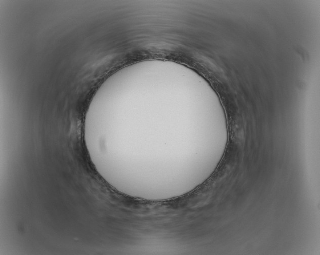 X0000113311061200910131103