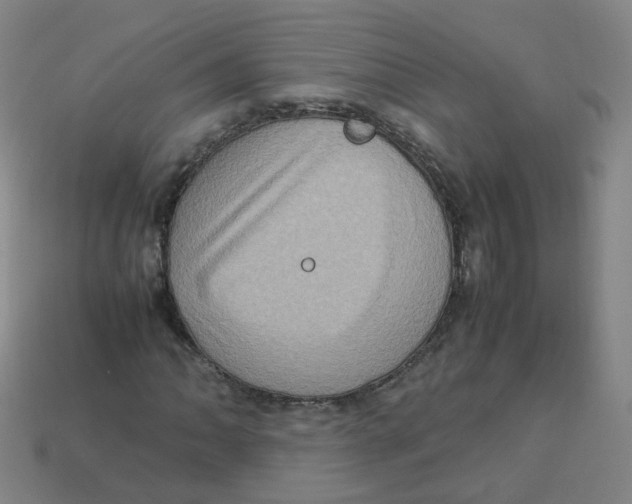 X0000113311062200910131103