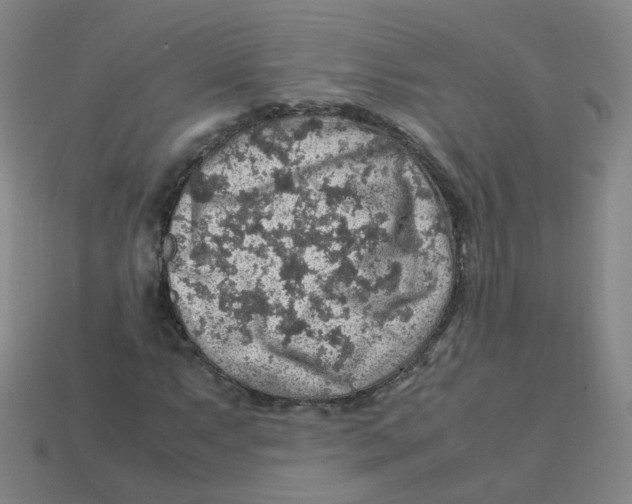 X0000113311063200910131103