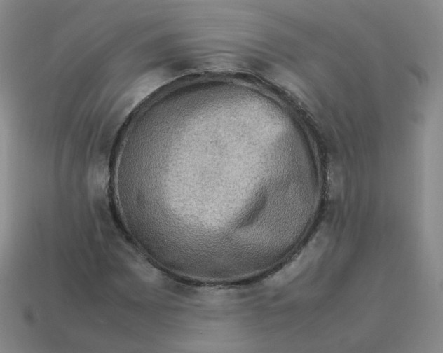 X0000113311065200910131103