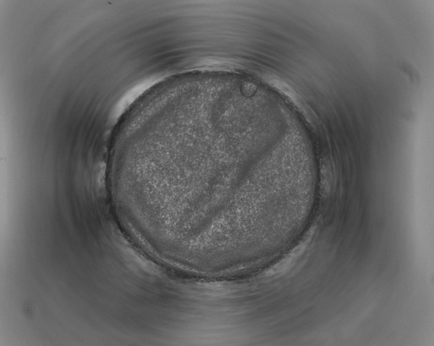 X0000113311066200910131103