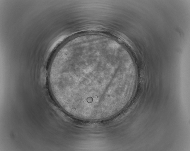 X0000113311067200910131103