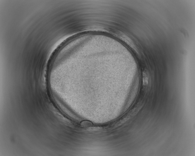 X0000113311068200910131103