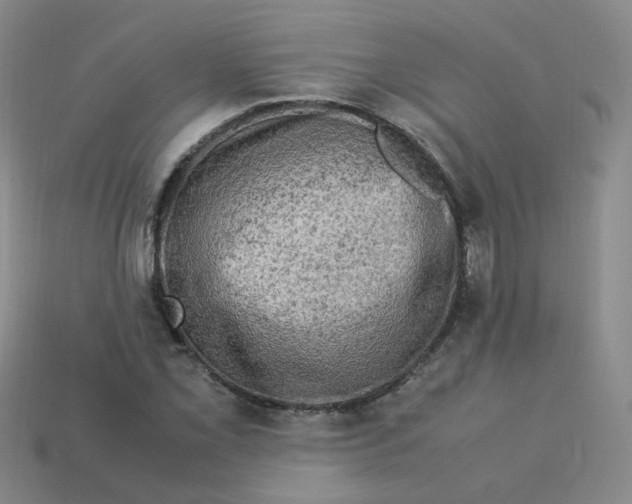 X0000113311069200910131103