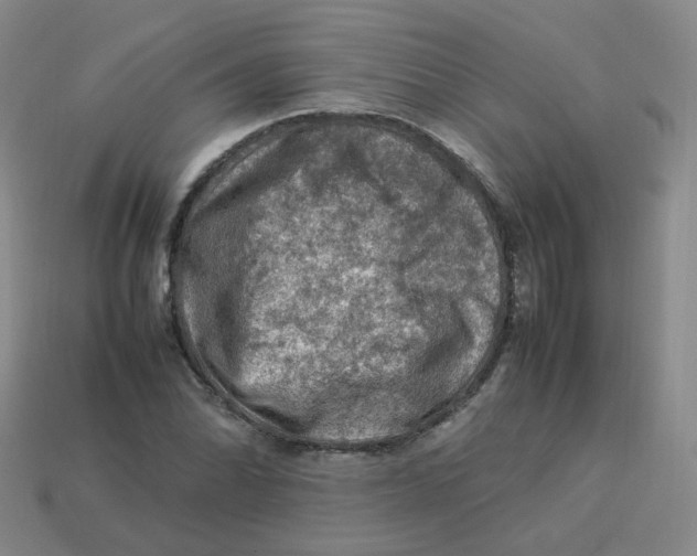 X0000113311070200910131103