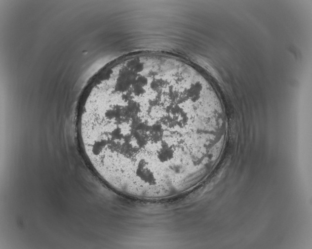 X0000113311071200910131103