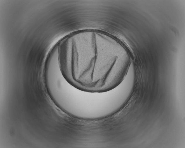 X0000113311072200910131103