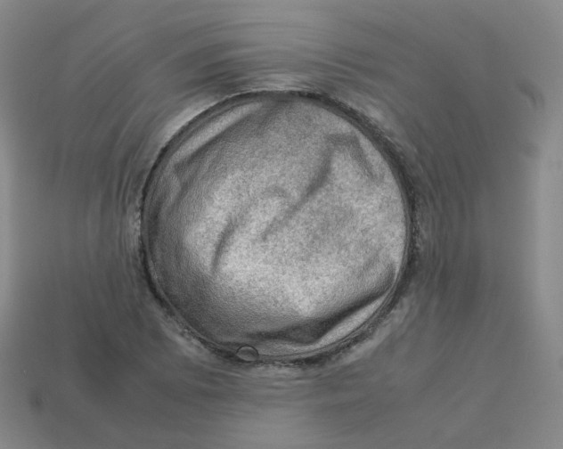 X0000113311073200910131103