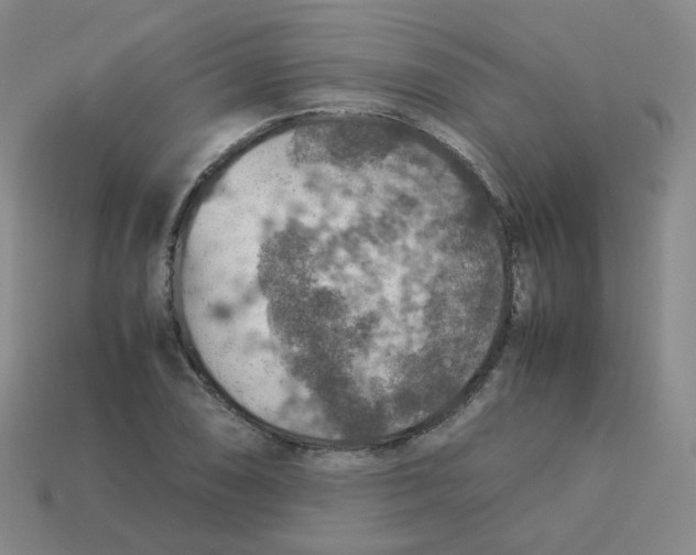 X0000113311074200910131103