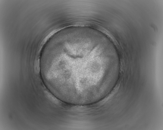 X0000113311075200910131103