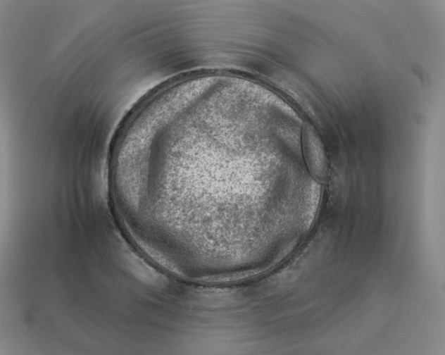 X0000113311076200910131103