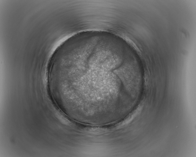 X0000113311077200910131103