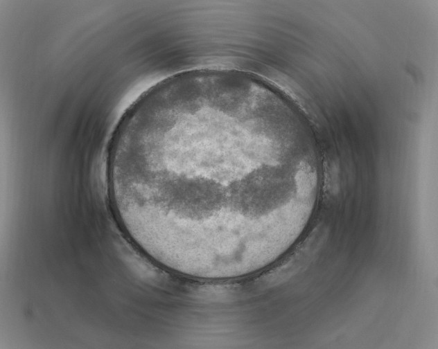 X0000113311078200910131103