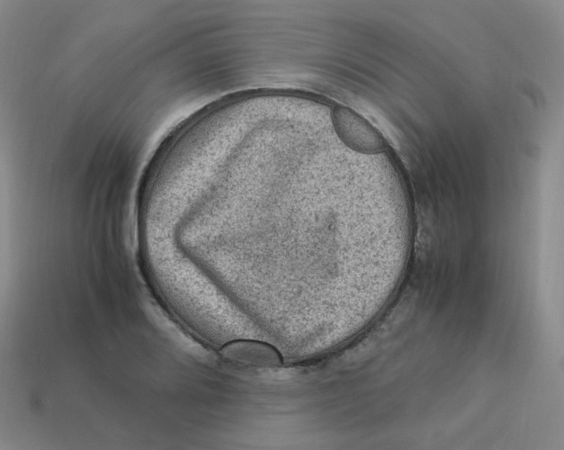 X0000113311080200910131102