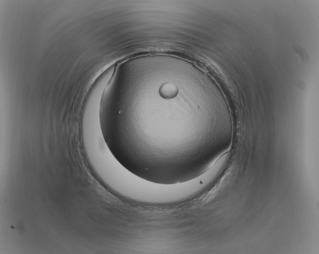 X0000113311081200910131102