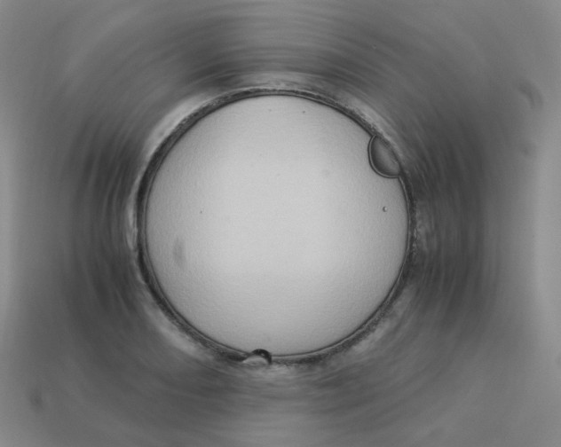 X0000113311082200910131102