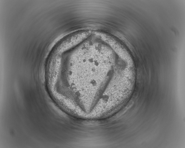 X0000113311083200910131102