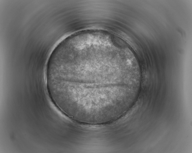 X0000113311084200910131102