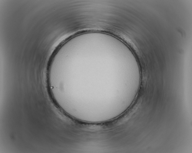 X0000113311085200910131102