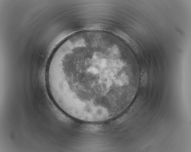 X0000113311086200910131102