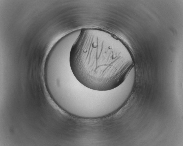 X0000113311088200910131102