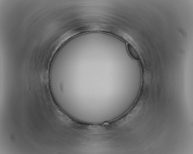 X0000113311089200910131102