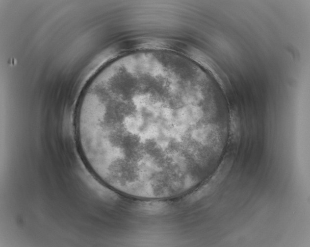 X0000113311090200910131102