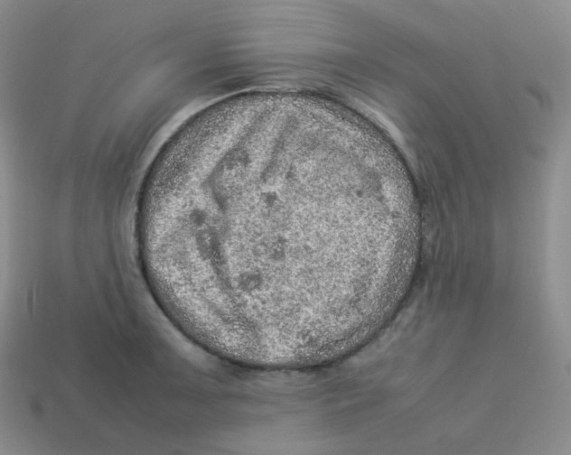 X0000113311091200910131102